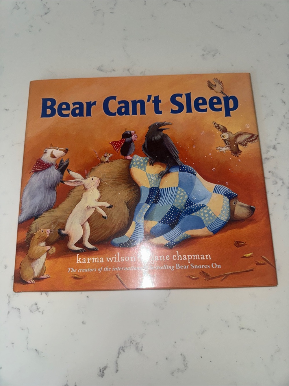 Bear Can’t Sleep book